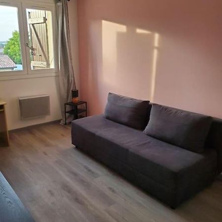 Appartement Moderne Et Equipe LʼIsle-Jourdain Eksteriør bilde