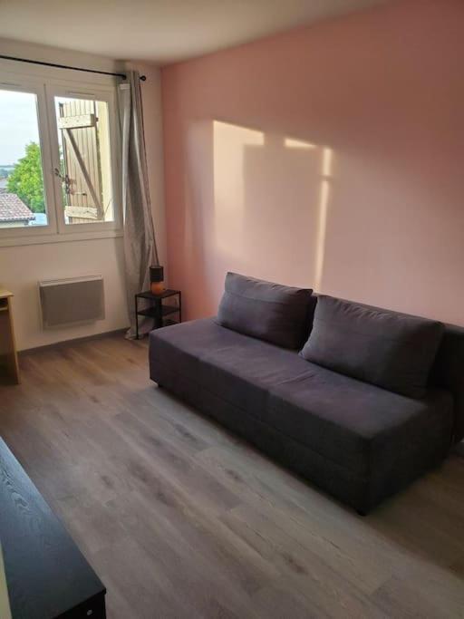 Appartement Moderne Et Equipe LʼIsle-Jourdain Eksteriør bilde